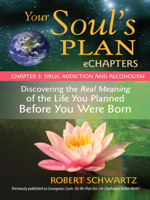 Title details for Your Soul's Plan eChapters, Chapter 4 by Robert Schwartz - Available